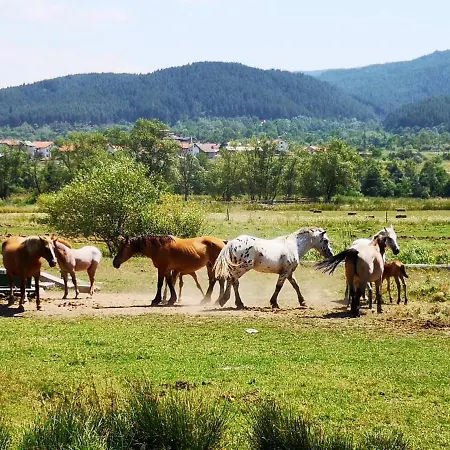 Манастира Apartmán Bansko